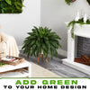 Cithway® Lifelike Artificial Boston Fern Plant Decoration